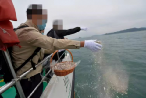 網(wǎng)友吐槽海葬太貴了