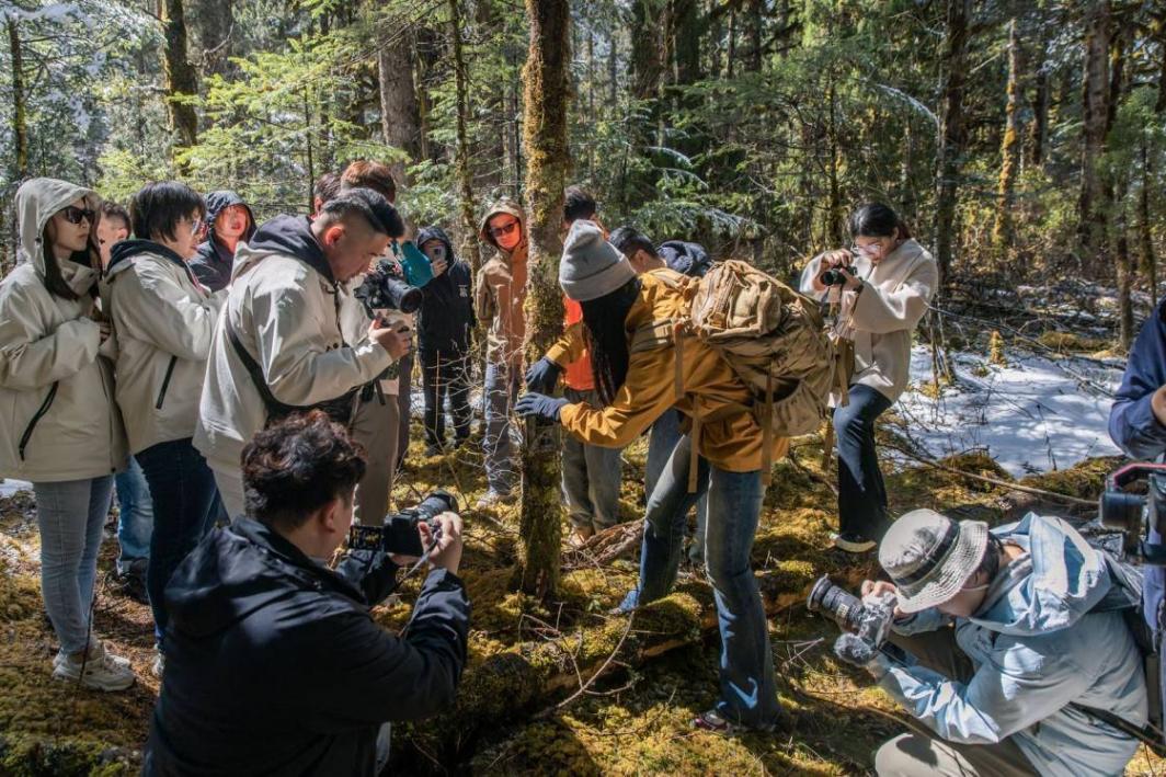 助力國寶安家,探索06走進四川大熊貓國家公園(王朗)