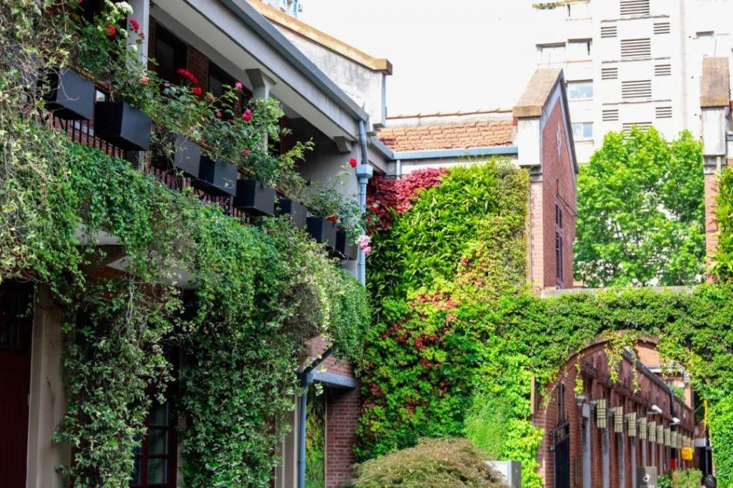 打造城市街區(qū)花園會客廳,來上海徐匯這里體驗“轉(zhuǎn)角遇見美”