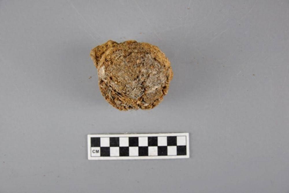 茶葉在宮廷:中國貢茶與茶文化遺產