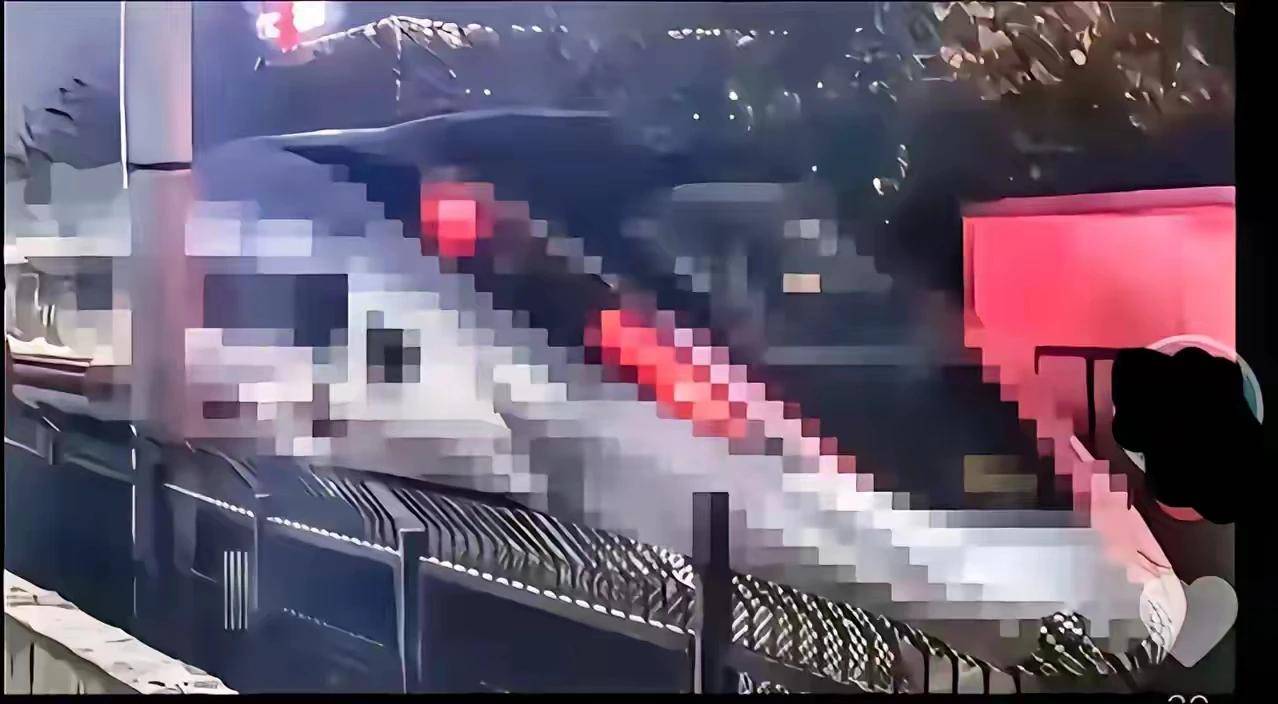 如約而至CR450來(lái)了,南北兩款車型同時(shí)亮相。