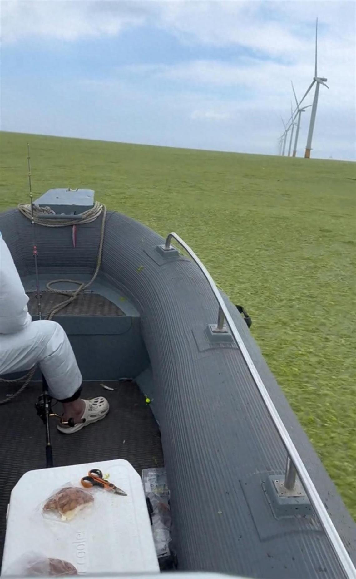 煙臺海面變“草原”了