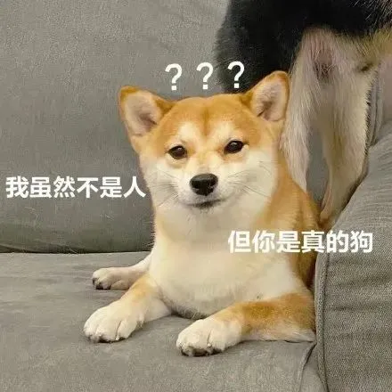 別焦慮!不會(huì)用AI也不會(huì)被淘汰,工程師老哥實(shí)測(cè)各類(lèi)工具:10倍生產(chǎn)力神話太夸張了