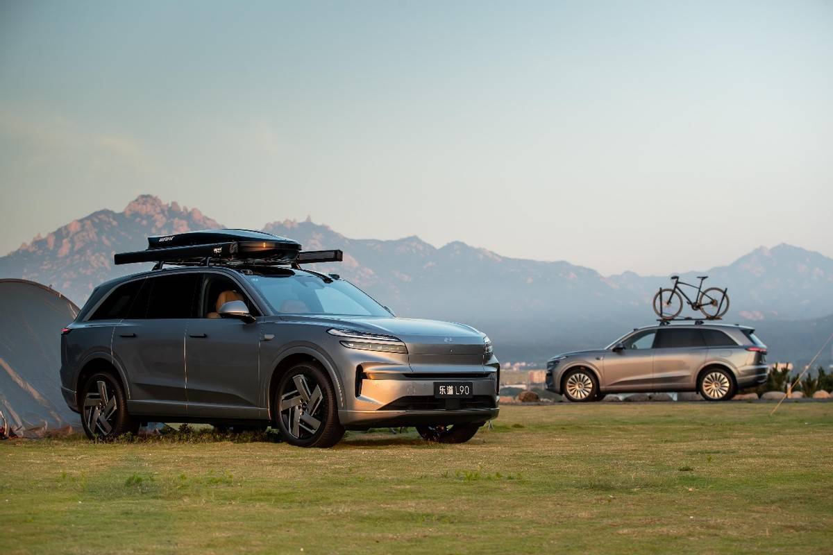 李斌:沒有什么是降價解決不了的問題,如果有,就繼續降!