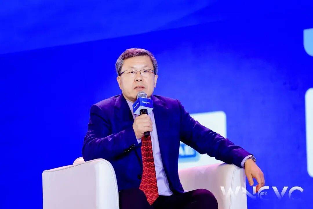 中國新能源汽車,為全球“踩坑”