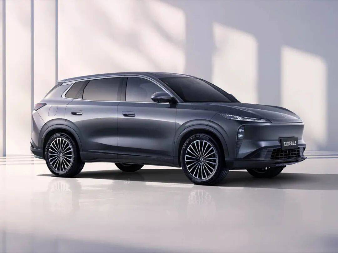 這款國(guó)產(chǎn)旗艦SUV不僅夠豪,插混車電池包比純電車還大