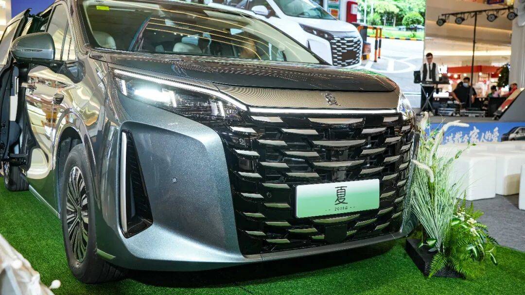 軸距超3米大七座,續航破千,配三排魔術座椅,家用必看!