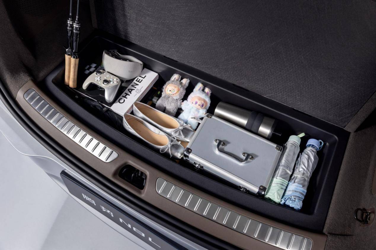 操控之王騰勢N8L上市,29.98萬元起,為全家美好出行而來!