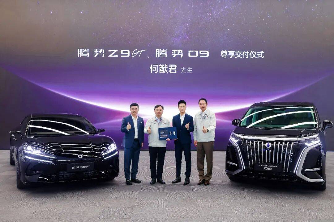 第30萬臺騰勢D9交付,“九球女王”成車主